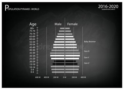 20162020年人口金字塔图，4代