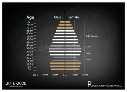 20162020年人口金字塔图，4代