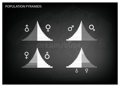 人口金字塔图的细节取决于年龄和性别
