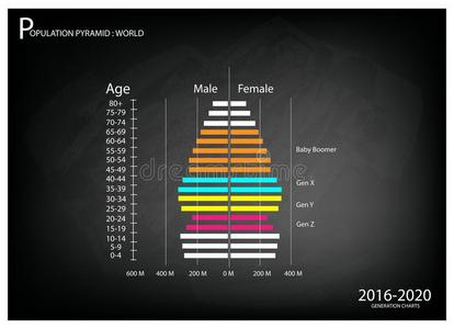 20162020年人口金字塔图，4代