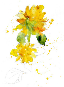 徒手画黄色向日葵