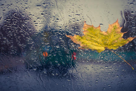 落叶和雨滴