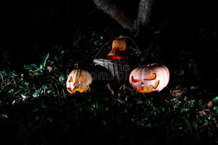 万圣节三个南瓜在树叶和草地在黑暗中，可怕