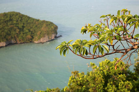 海湾 天空 海岸 国家的 海滩 自然 泰国 旅行 丁字裤