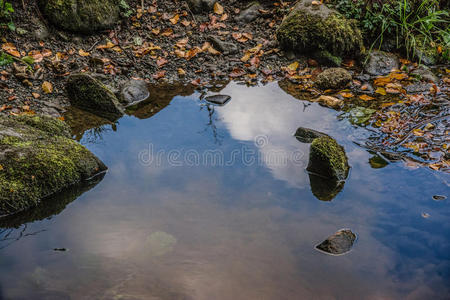 修道院 近的 博尔顿 岩石 国家 自然 河道 池塘 风景