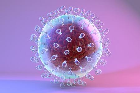信封 显微镜 生物学 细胞 黄病毒 健康 注册护士 插图