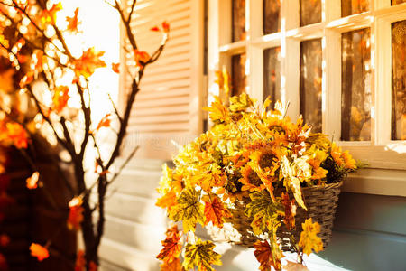 篮子里有向日葵和秋叶，在乡村房子的蓝色墙上。