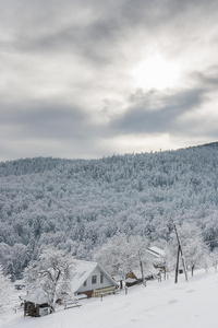 美丽的冬季景观，在白雪覆盖的森林和山脉的背景下有一座房子。