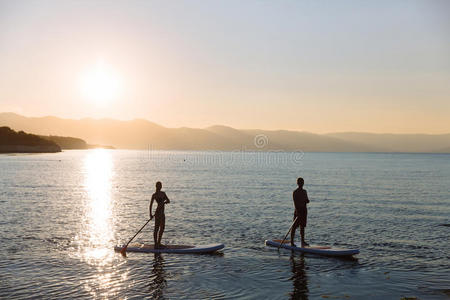 桨板 夏威夷 新婚夫妇 运动 海洋 寄宿 乐趣 风景 自然
