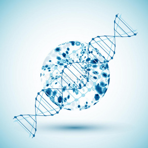 代码 克隆 化学 细胞 医疗保健 基因 进化 解剖 人类