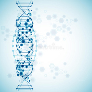 想象 细胞 染色体 医疗保健 偶像 进化 生物技术 疾病