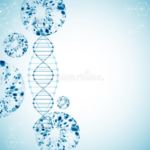 身体 基因 医疗保健 克隆 图表 基因组 生物技术 进化