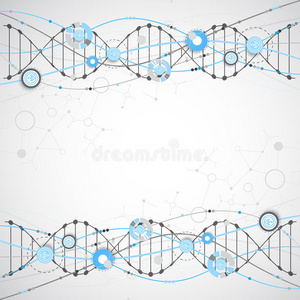 进化 图表 偶像 生物技术 曲线 基因组 细胞 化学 人类