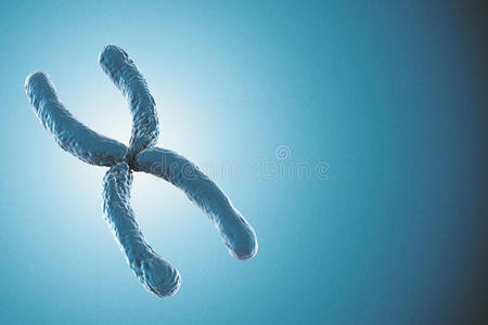蓝色染色体