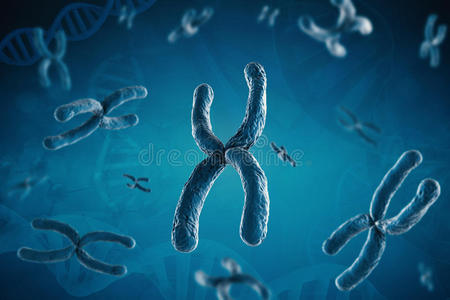蓝色染色体