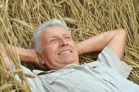 健康 放松 领域 老年人 肖像 日光 幸福 安慰 白种人
