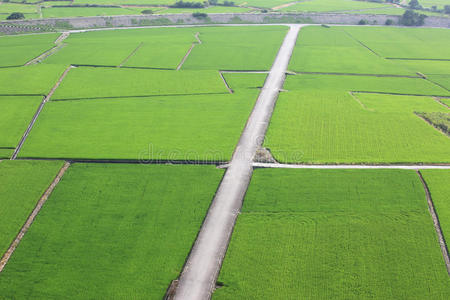 稻田的美丽乡村景色