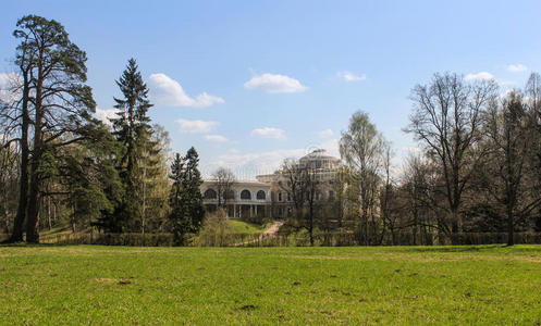 风景 行走 季节 春天 草坪 树叶 车道 场景 植物 公园