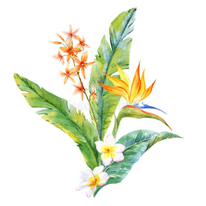 作文 植物区系 夏威夷 花束 春天 阿罗哈 花园 自然 棕榈