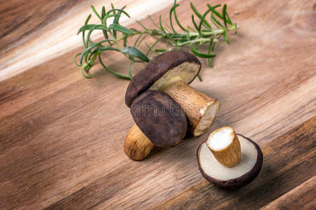 美食家 收获 牛肝菌 植物 栗褐色 蘑菇 秋天 物体 自然