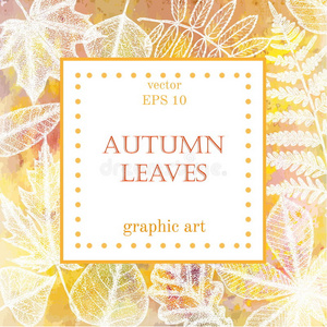 秋天的叶子背景，有文字的空间。 水彩背景上的白色叶子