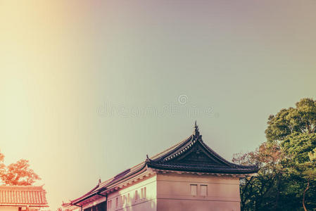 日本东京美丽的皇宫过滤图像专业