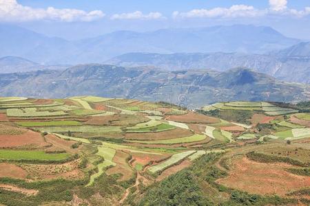 东川红色土地全景，中国云南省的地标之一