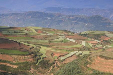 东川红色土地全景，中国云南省的地标之一