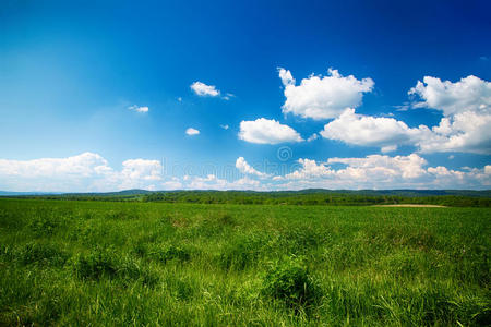 美丽的夏季景观