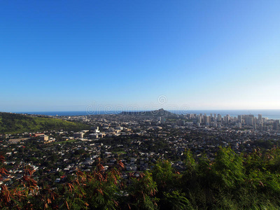 响尾蛇和檀香山市，kaimuki，kahala和ocean