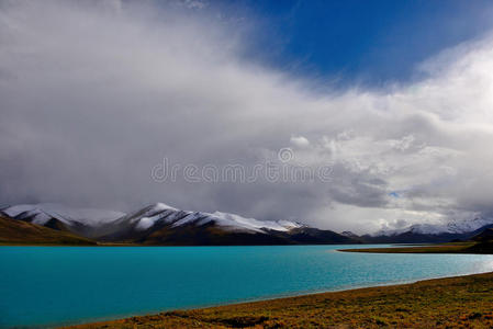 场景 封顶 自然 遥远的 天空 德尔 国家的 高峰 安第斯山脉