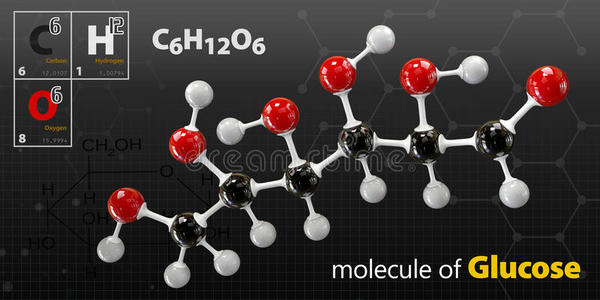 葡萄糖分子,球和棒模型. 葡萄糖.照片