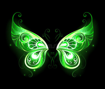 绿色的仙女翅膀照片