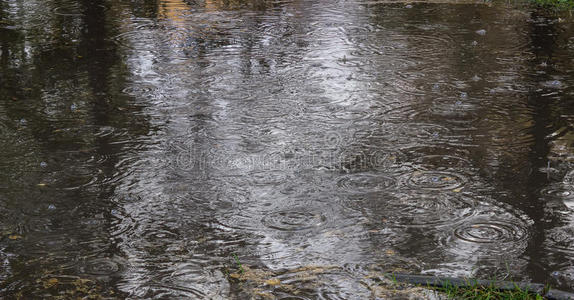 秋雨