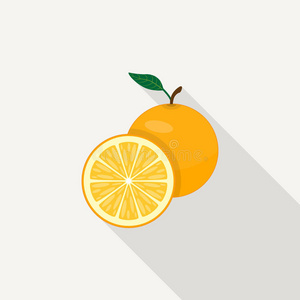 柑橘 插图 圆圈 滑石 甜点 饮食 健康 偶像 种子 颜色