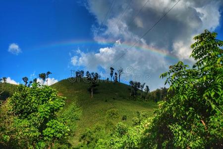 高原 现象 树叶 陡崖 牧场 雨林 太阳光 领域 积云 彩虹