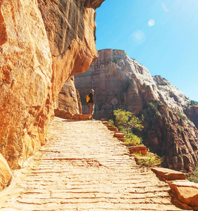 目的地 美丽的 悬崖 落下 峡谷 形成 美国 公园 徒步旅行者