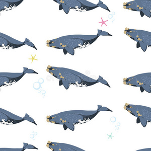 插图 动物 宝贝 绘画 艺术 哺乳动物 海的 卡通 可爱的