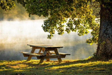 池塘 阳光 营地 露营 秋天 早晨 野餐 枫树 孤独 卡罗莱纳州