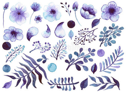 浆果 花束 自然 收集 艺术 插图 绘画 邀请 美丽的 紫色