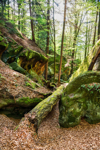 喀尔巴阡山脉森林中的巨大岩石和石头