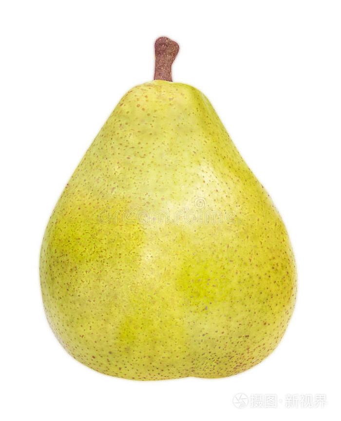 白底梨