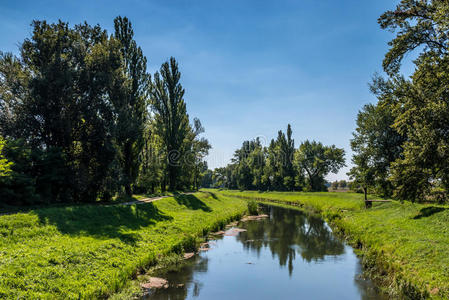 自然 运河 欧洲 斯洛伐克 运输 旅游业 风景 反射 城市