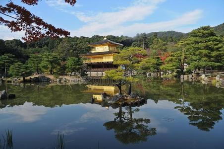 建筑学 地标 森林 风景 古老的 花园 日本人 自然 佛教