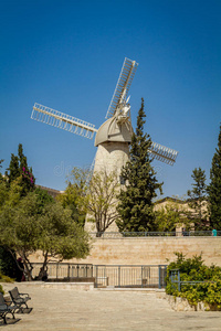 地标 以色列 建筑 城市 建筑学 地中海 植物 古老的 邻里