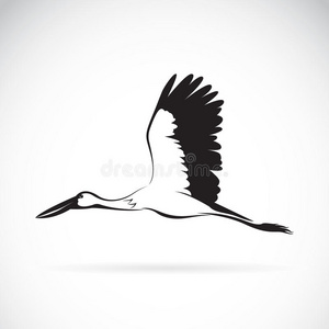 白鹳 性格 动物群 羽毛 轮廓 苍鹭 卡通 美女 脖子 简单的