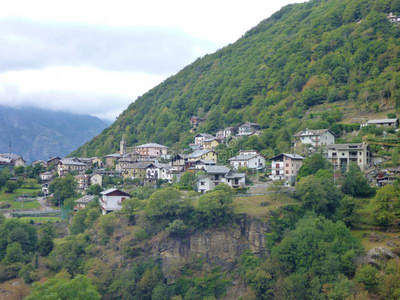 夏天 峭壁 风景 美丽的 丘陵 闪耀 松木 地形 寒冷的