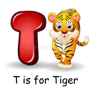 动物字母表t是给老虎的