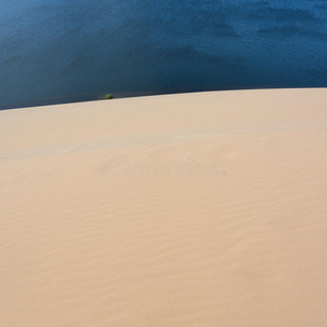 绿洲 南方 美丽的 亚洲 冒险 沙丘 沙漠 干旱 泻湖 自然