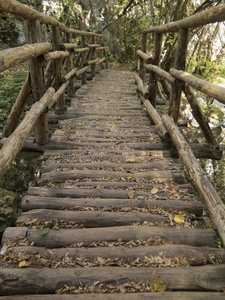 河上方森林里的一座木桥，向前看